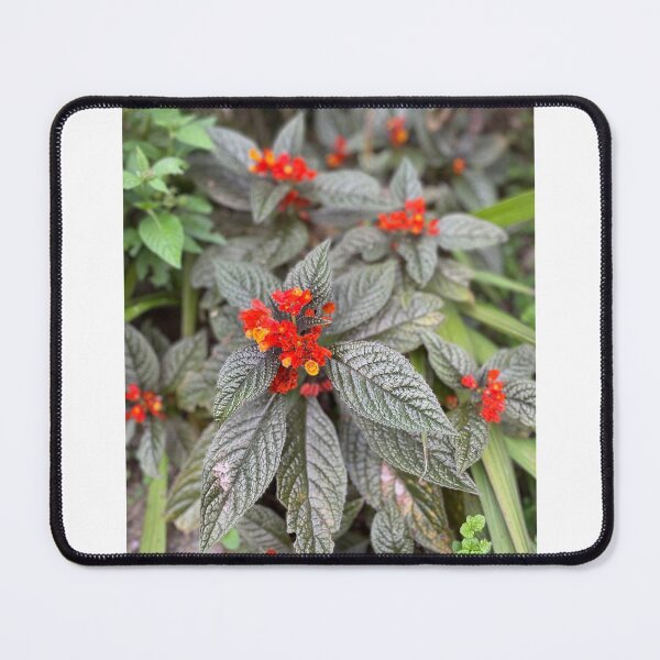 Item preview, Reds in the Wild designed and sold by iAmmAja43.