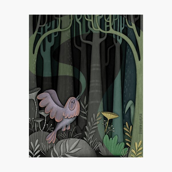 The Nightingale Of A Thousand Songs Photographic Print