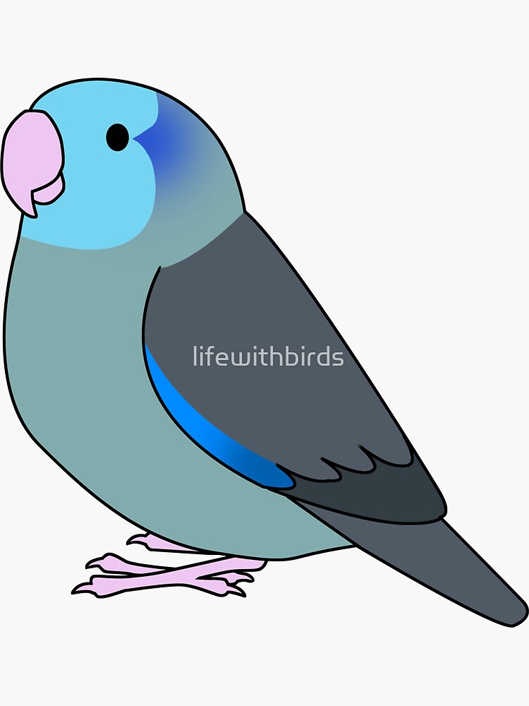 "Fluffy blue pacific parrotlet cartoon drawing" Sticker for Sale by