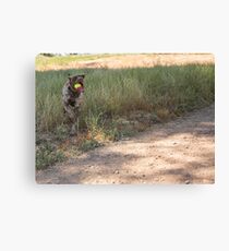 Me & My Ball.....before I kill it....... Canvas Print