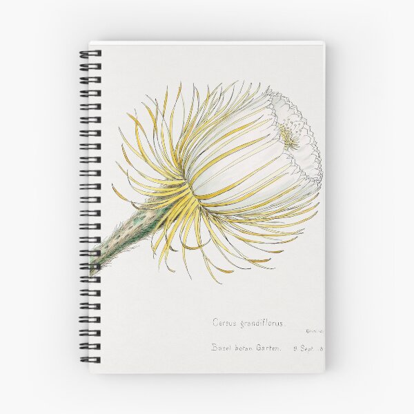 Item preview,  Vintage Floral Illustration Snake cactus  designed and sold by lilach-e.