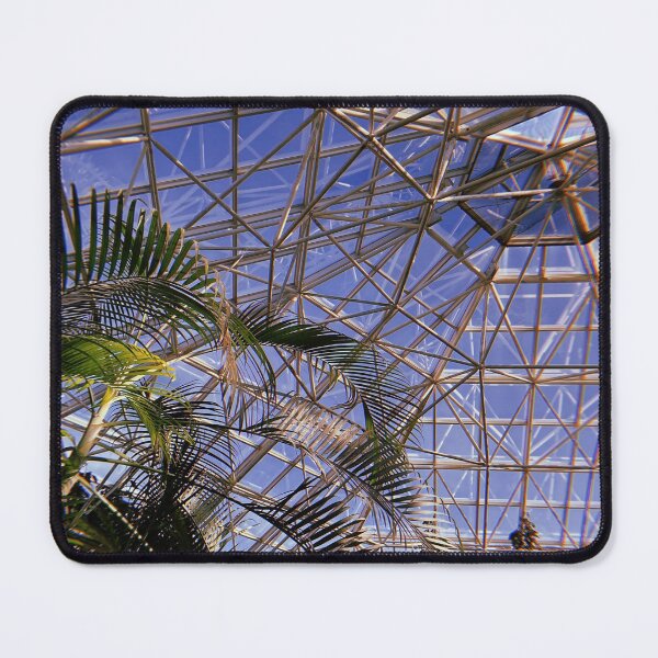 Item preview, Summer Green House with Palm Tree Film Photo designed and sold by AshTreeCrtvCo.
