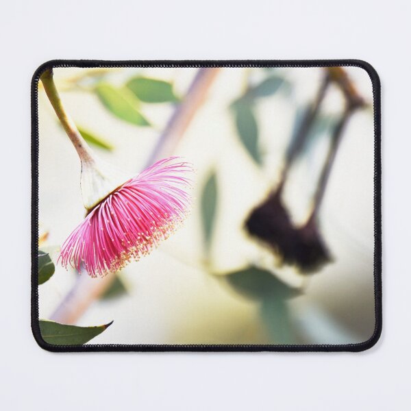 Item preview, Eucalyptus thamnoides - Australian Native designed and sold by imaginethis.