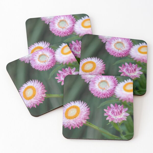 Item preview, Paper Daisies In Full Bloom designed and sold by Andrew Goodall.