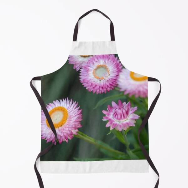 Item preview, Paper Daisies In Full Bloom designed and sold by Andrew Goodall.
