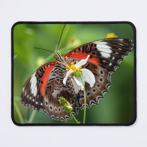 Item preview, Orchard Swallowtail Butterfly designed and sold by Andrew Goodall.