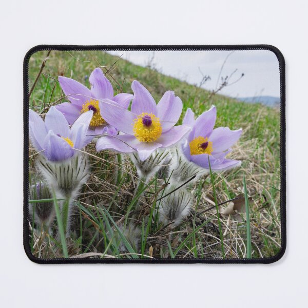 Item preview, Purple Flower Photo Print designed and sold by Pankas.