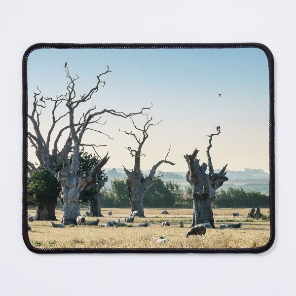 Item preview, Mundon Oaks designed and sold by DonMc.
