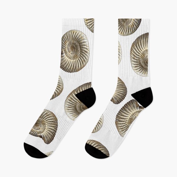 Item preview, Ammonite shell fossil designed and sold by MarisG.