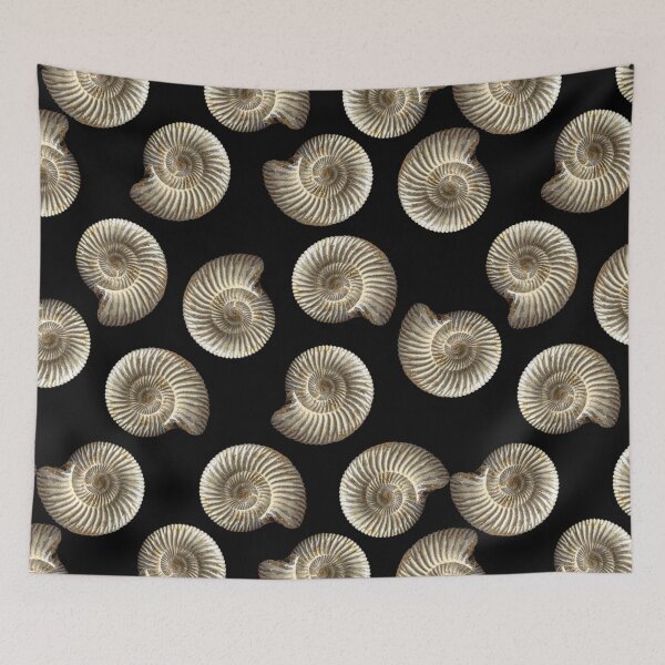 Item preview, Ammonite shell fossil designed and sold by MarisG.