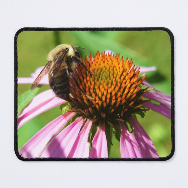 Item preview, Closeup Bee on Flower designed and sold by Robin King.
