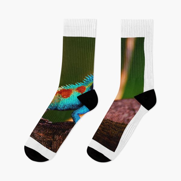 Item preview,  lizard photo with high resolution quality designed and sold by Allyouneed-2.