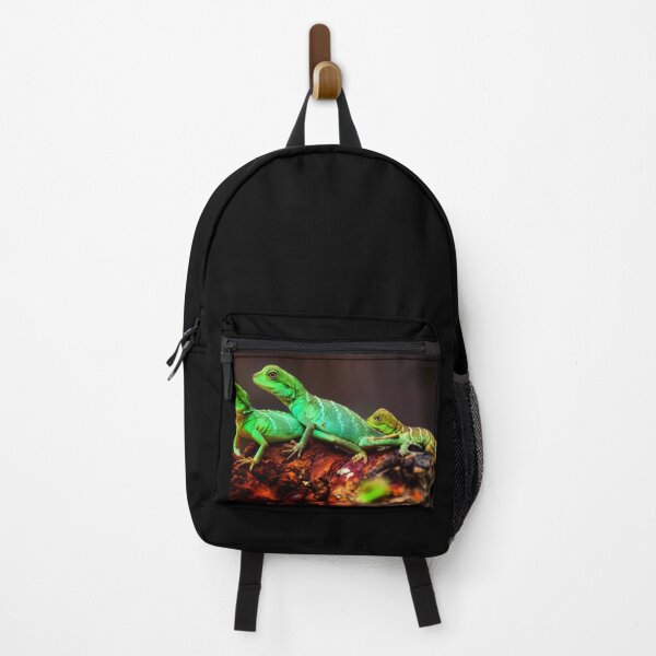 Item preview, lizard photo with high resolution quality designed and sold by Allyouneed-2.