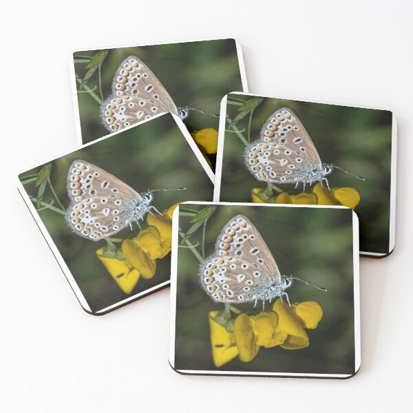 Item preview, Common Blue Butterfly (II) designed and sold by DonMc.