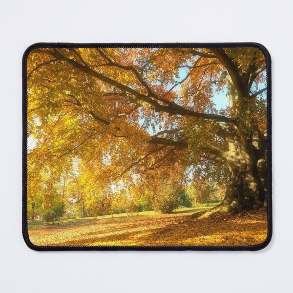 Item preview, Copper Beech in Autumn designed and sold by Alex Cassels.