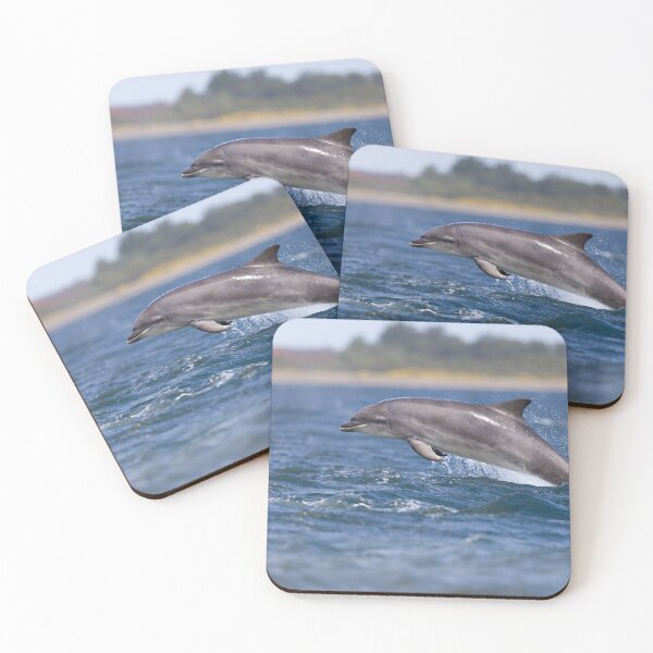 Item preview, Young wild dolphin designed and sold by chanonry.