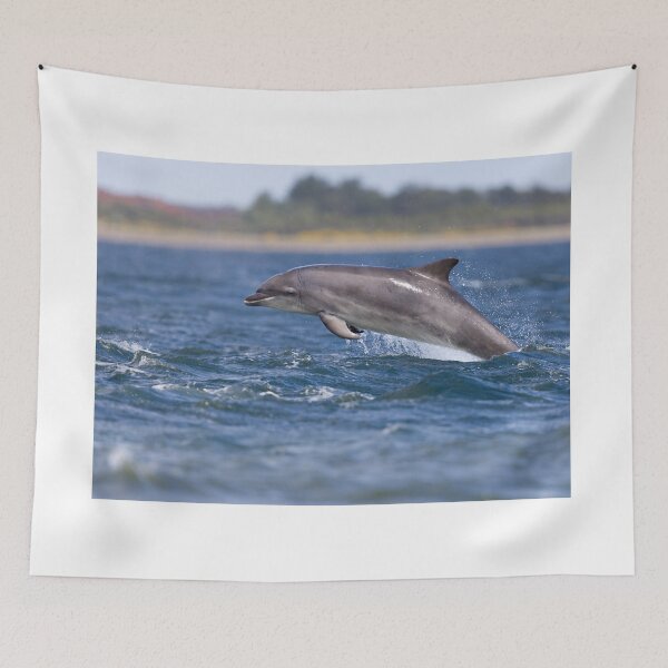 Item preview, Young wild dolphin designed and sold by chanonry.