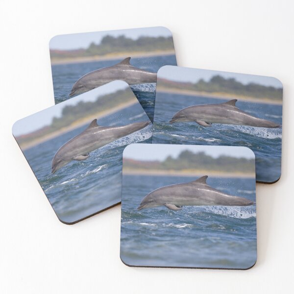 Item preview, Copy of Young wild dolphin designed and sold by chanonry.