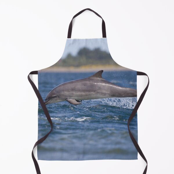 Item preview, Copy of Young wild dolphin designed and sold by chanonry.