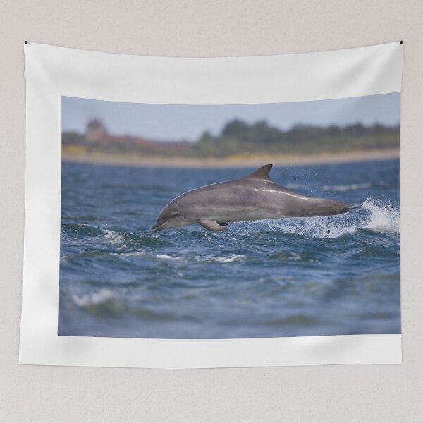 Item preview, Copy of Young wild dolphin designed and sold by chanonry.