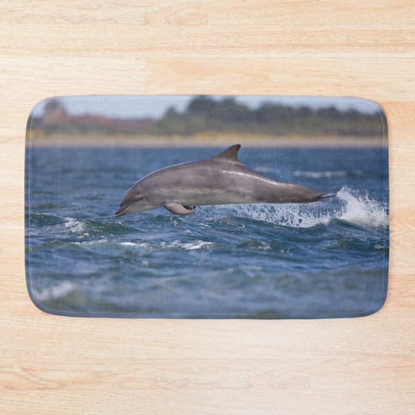 Item preview, Copy of Young wild dolphin designed and sold by chanonry.