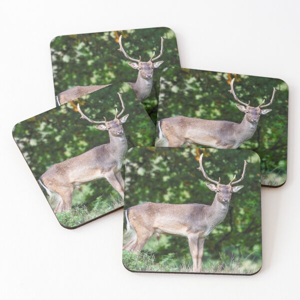 Item preview, Fallow Deer Buck (II) designed and sold by DonMc.