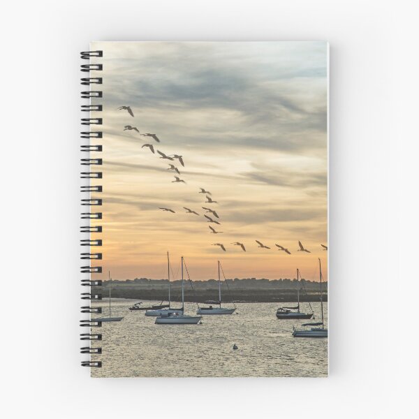Item preview, Geese Flypast designed and sold by DonMc.