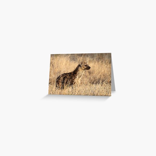 Spotted Hyena, Serengeti National Park, Tanzania. Greeting Card