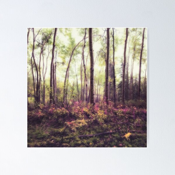 Item preview, Sylvan designed and sold by Priska Wettstein.