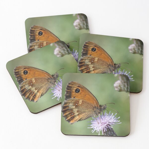 Item preview, Gatekeeper Butterfly designed and sold by DonMc.