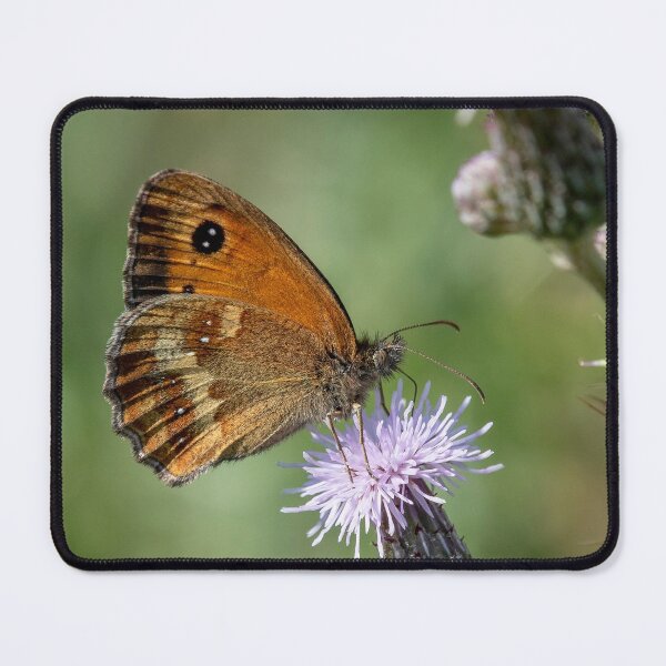 Item preview, Gatekeeper Butterfly designed and sold by DonMc.