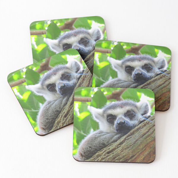 Item preview, Lounging Ring-tailed Lemur designed and sold by Linda Walsh.