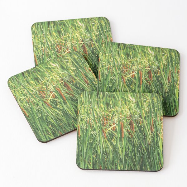 Item preview, Cattail or typha by the lake - designed and sold by FelCastro.