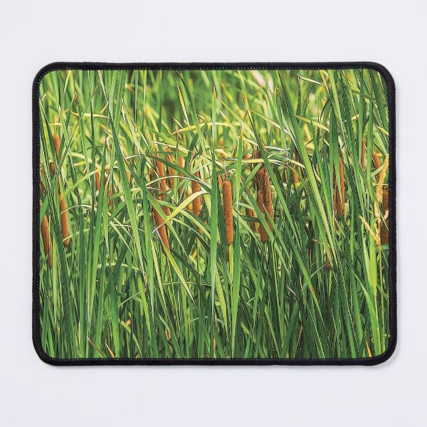 Item preview, Cattail or typha by the lake - designed and sold by FelCastro.