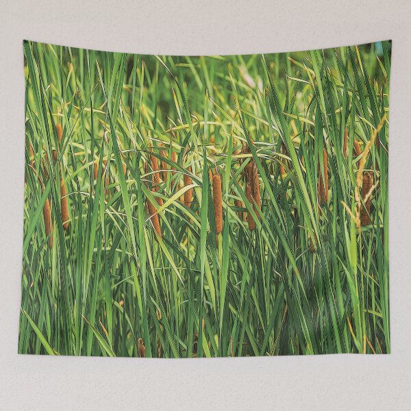 Item preview, Cattail or typha by the lake - designed and sold by FelCastro.