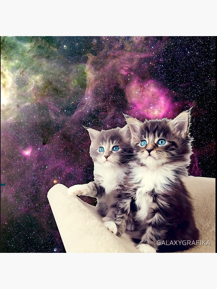 Pet’s and solar system lover, Galaxy Cat, cute Purple Cat in space design |  Art Board Print