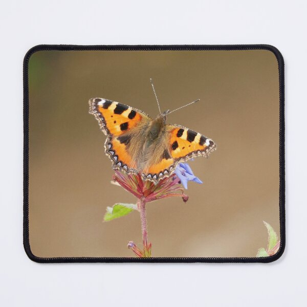 Item preview, Small Tortoiseshell designed and sold by George Swann.