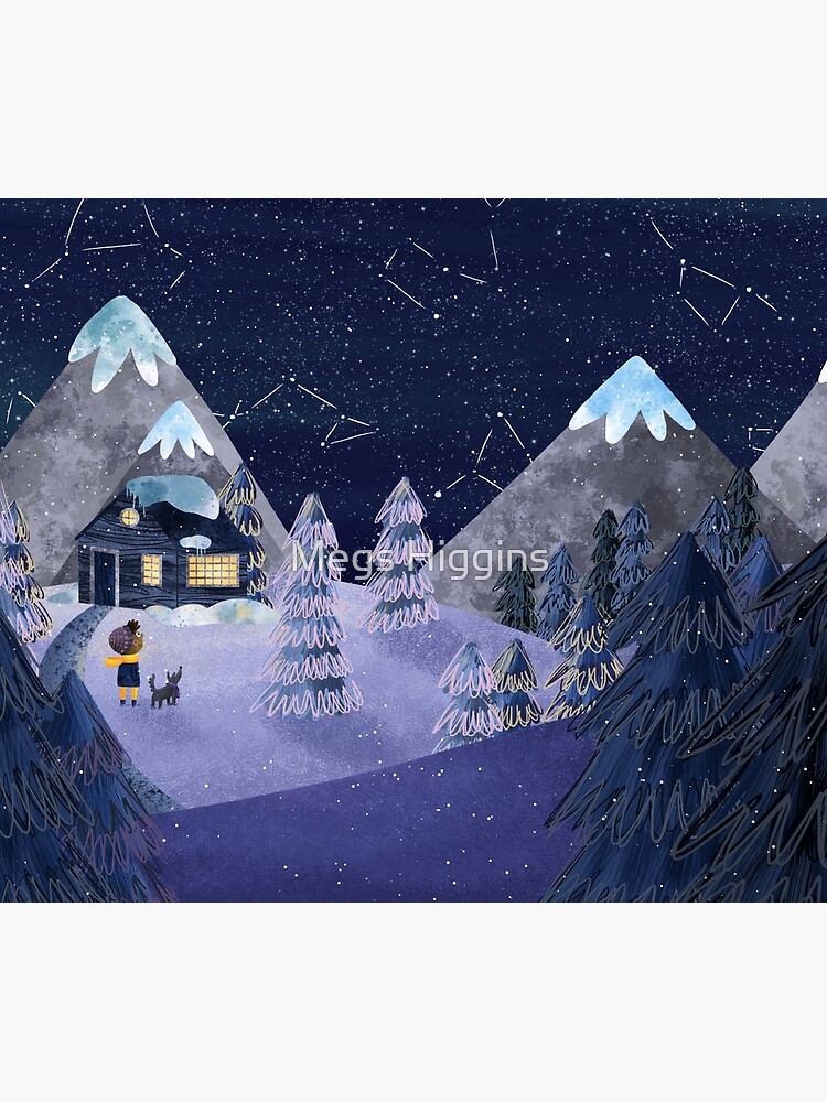 Winter Night by megsneggs