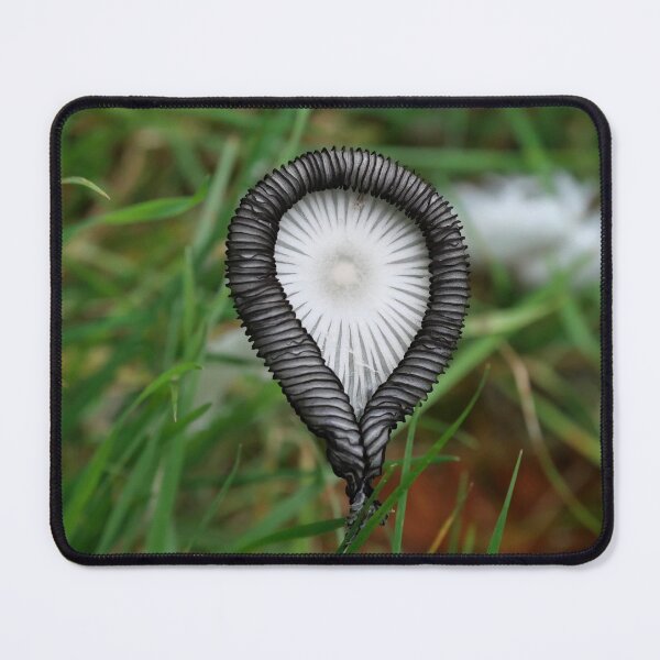 Item preview, Hares Foot Inkcap designed and sold by George Swann.