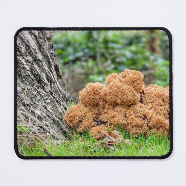 Item preview, Autumn Fruits designed and sold by George Swann.