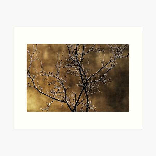 In the light of an autumn morning Art Print