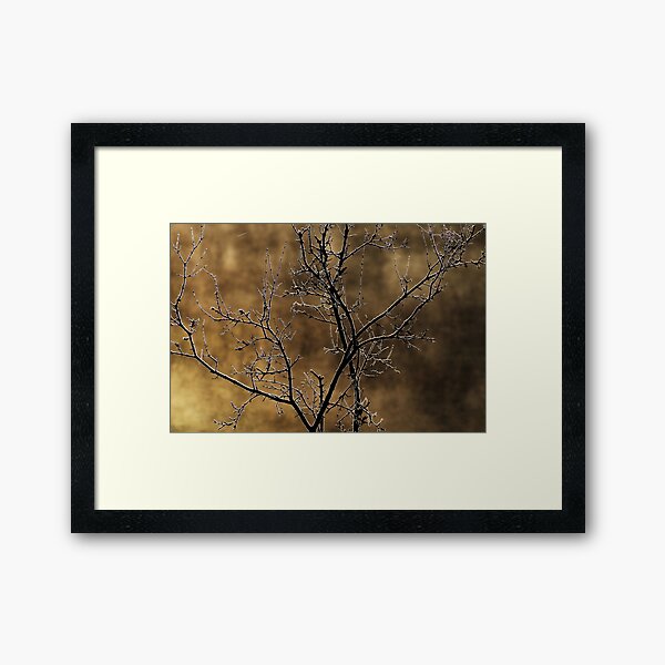 In the light of an autumn morning Framed Art Print