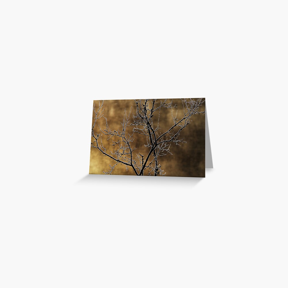 Item preview, Greeting Card designed and sold by patmo.