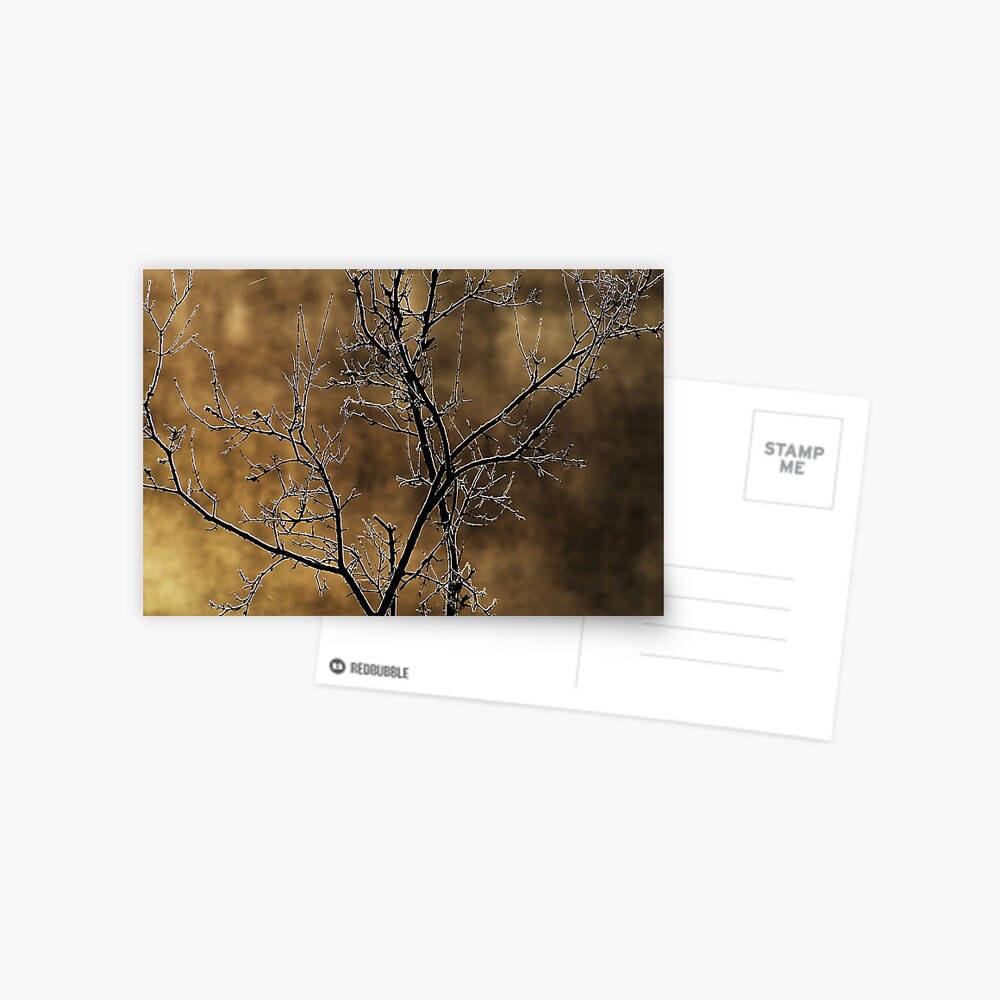 Item preview, Postcard designed and sold by patmo.