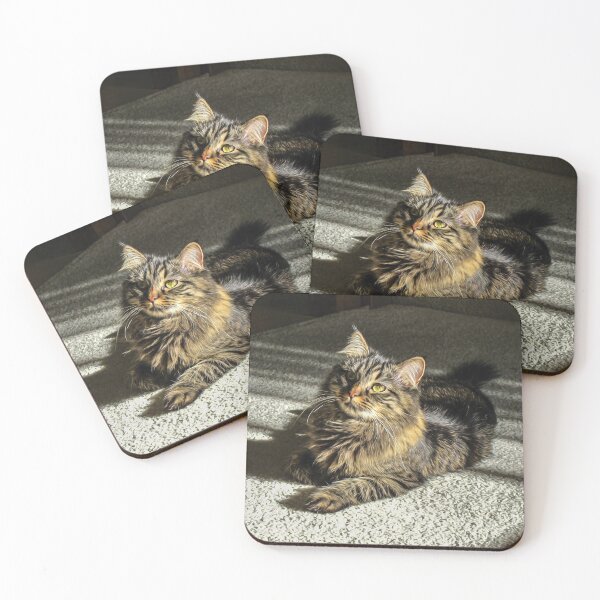 Item preview, Portrait of a cat - designed and sold by FelCastro.