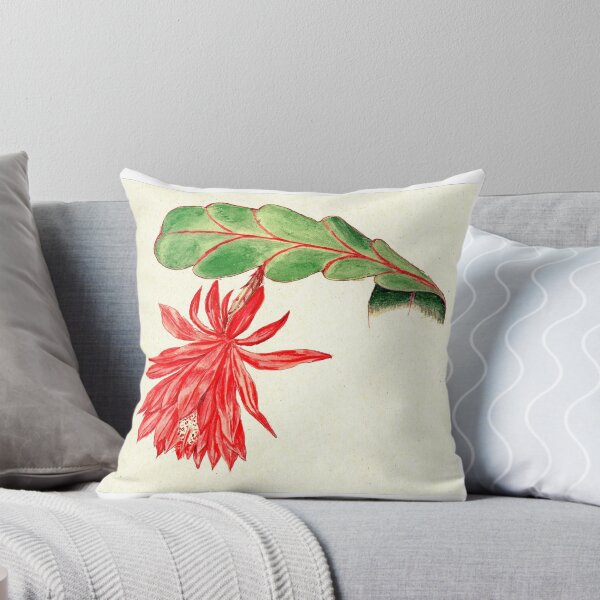Item preview, Orchid Cactus Vintage Illustration designed and sold by lilach-e.