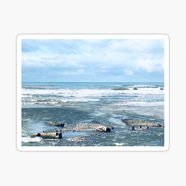 Oregon coast Sticker