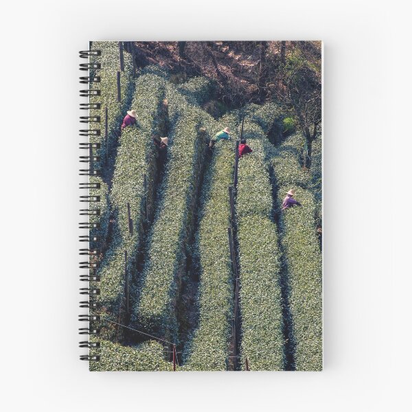Artikelvorschau, Blick auf Teebauern auf den Longjing-Teefeldern in China entworfen und verkauft von WorldScenery.