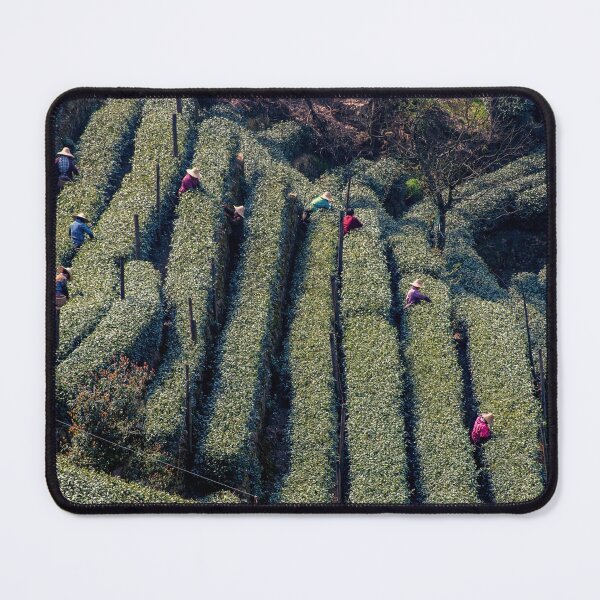 Item preview, View of tea farmers on the Longjing Tea Fields in China designed and sold by WorldScenery.
