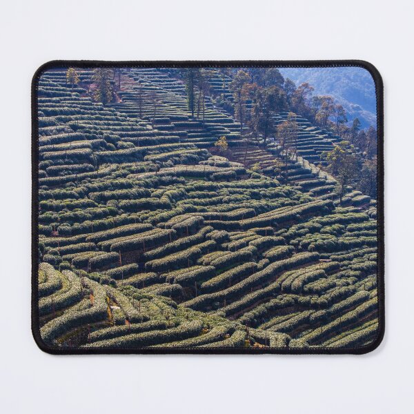 Item preview, The hills of Longjing Tea Fields in China designed and sold by WorldScenery.